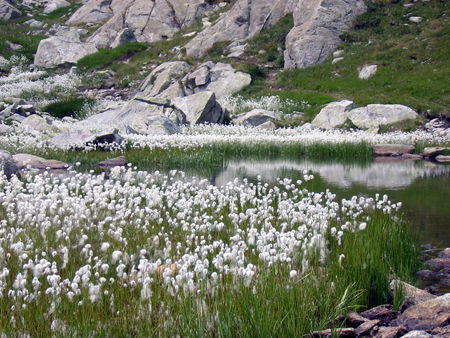 5Laghi53