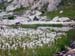 5Laghi53