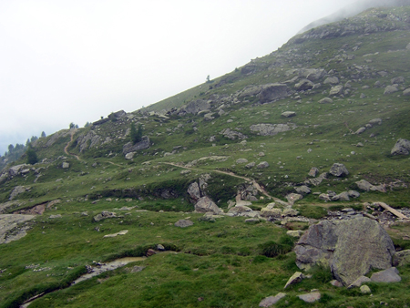 DSCN3177