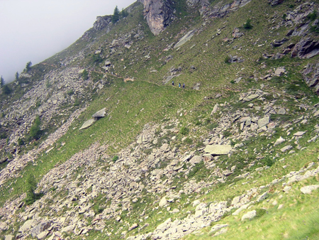 DSCN3181