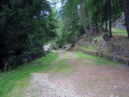 DSCN3240