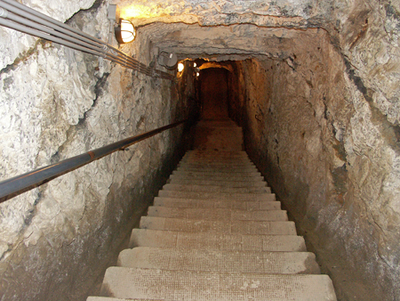 belvedere_47