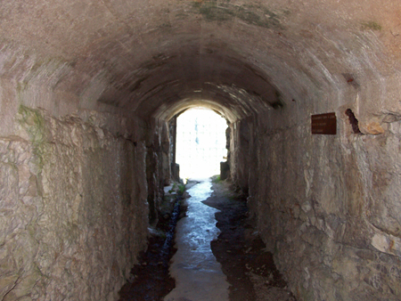 belvedere_55