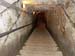 belvedere_47