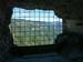 belvedere_54