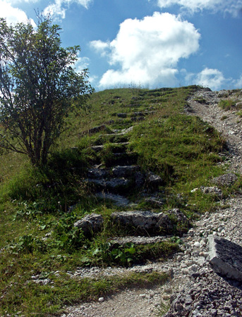 busaverle_21