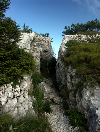 vezzena_09
