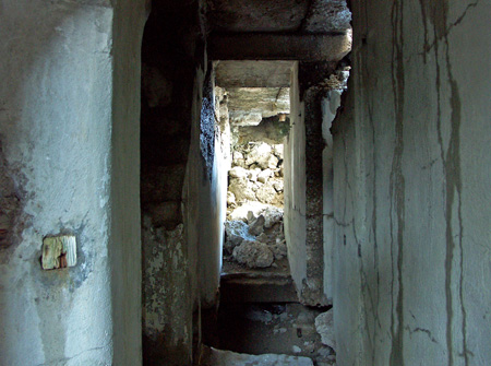 vezzena_40