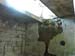 vezzena_38