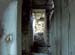vezzena_40