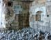 vezzena_42