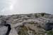 verena_39