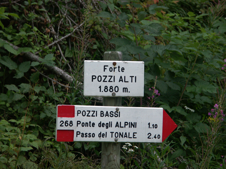 pozzialti_01