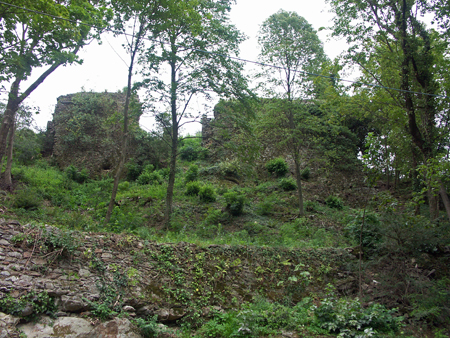 fortefuentes_04