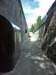 forteoga_56