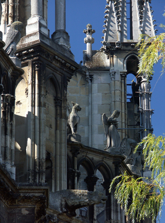 reims_28