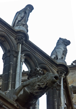 reims_29
