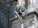 reims_35