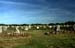 carnac_sito2_03