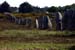 carnac_sito2_08