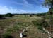 carnac_sito3_08