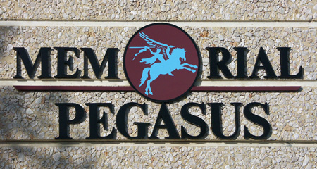 pegasus_01