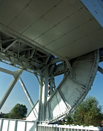 pegasus_11