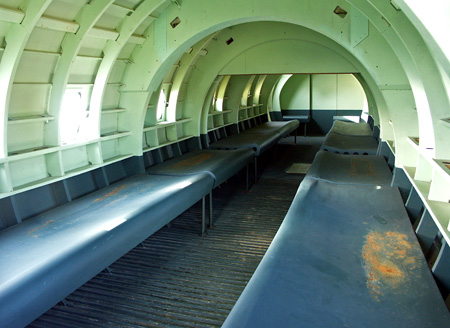 pegasus_21
