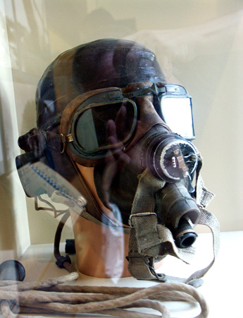 pegasus_50