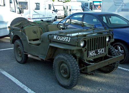 pegasus_81