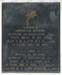 pegasus_02