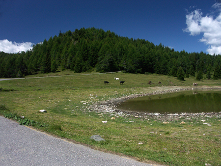 valtellina_20
