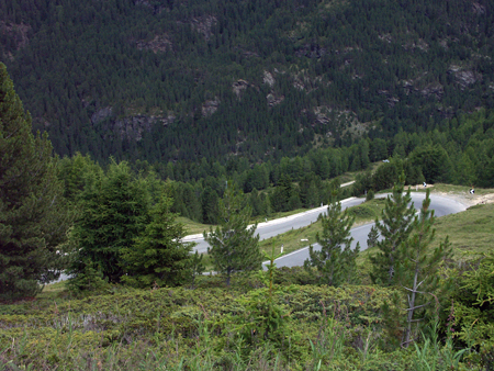 valtellina_72