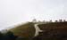 cimagrappa_039