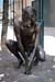 ortisei_19