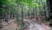 monte_rust_02