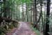 monte_rust_04