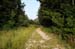 monte_rust_07