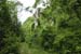 forte_ratti_05