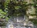 forte_ratti_13