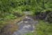 forte_ratti_24