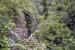 forte_ratti_29