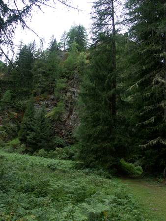 barbafiore_07