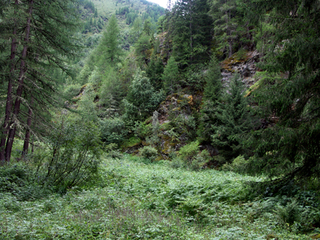 barbafiore_08