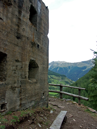 barbafiore_16