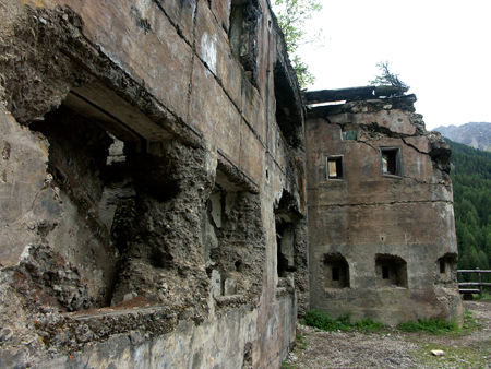 barbafiore_18