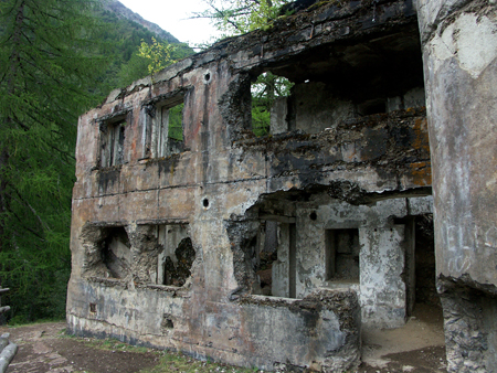 barbafiore_20
