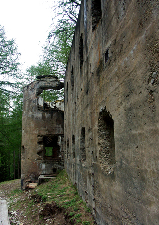 barbafiore_21