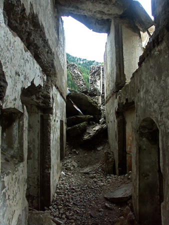 barbafiore_24