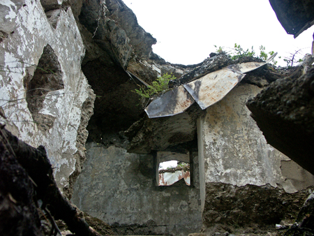 barbafiore_26